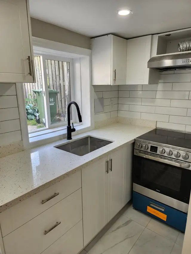 (LOWER LEVEL-Luxurious Hamilton walkout Basement) - Photo 4