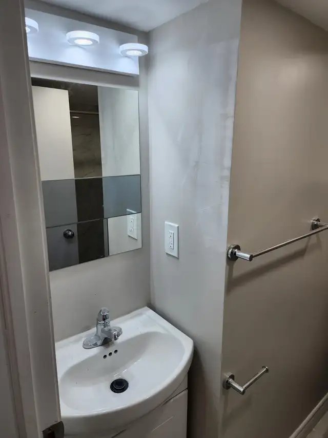 (LOWER LEVEL-Luxurious Hamilton walkout Basement) - Photo 8