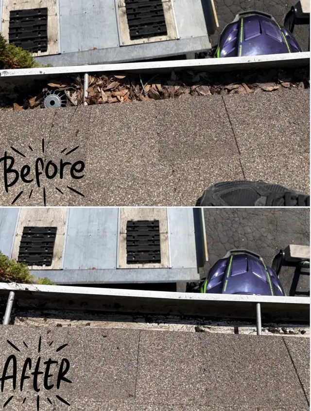 Gutter cleaning