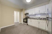 ✨ RENOVATED 3BR APARTMENT   BALCONY – 1 MONTH FREE    DISCOUNT! - Photo 6