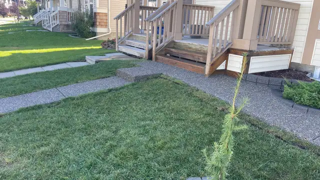 GET YOURS FOR YOUR PATIO ,,, - Photo 6