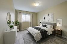 NEWLY RENOVATED 2BR – ALL INCLUSIVE   1 MONTH FREE   DISCOUNT! - Photo 4