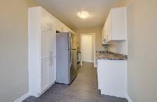 NEWLY RENOVATED 2BR – ALL INCLUSIVE   1 MONTH FREE   DISCOUNT! - Photo 7