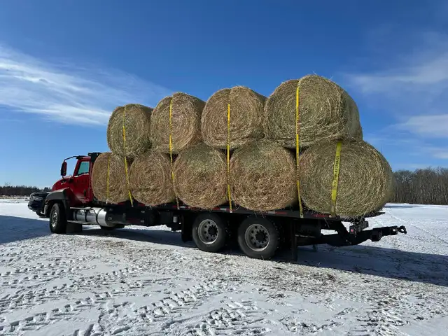 Trucking service's for hire - Photo 2