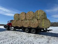 Trucking service's for hire - Photo 2