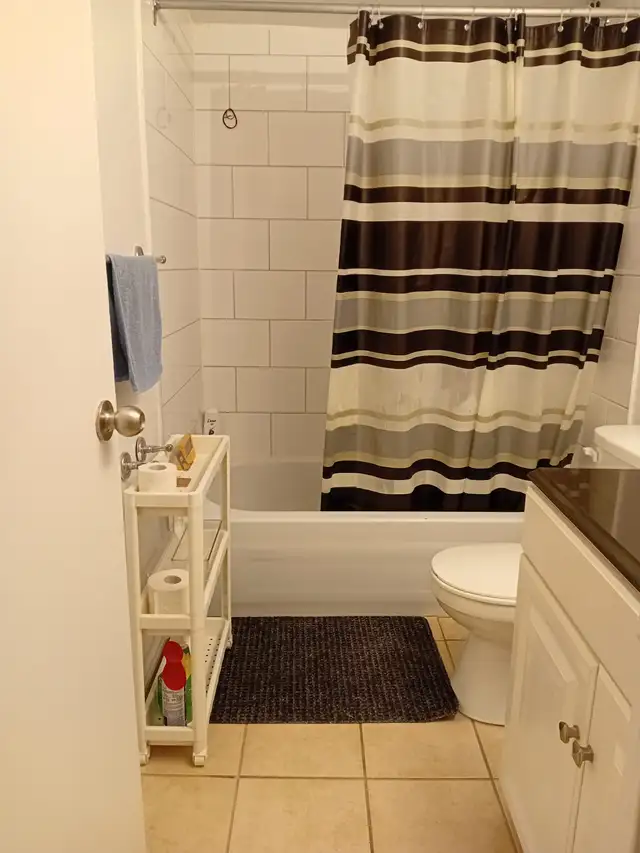 Lease transfer/Transfert bail - Apartment 1 BD - Montreal H3V1C7 - Photo 11