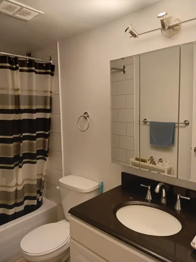 Lease transfer/Transfert bail - Apartment 1 BD - Montreal H3V1C7 - Photo 12