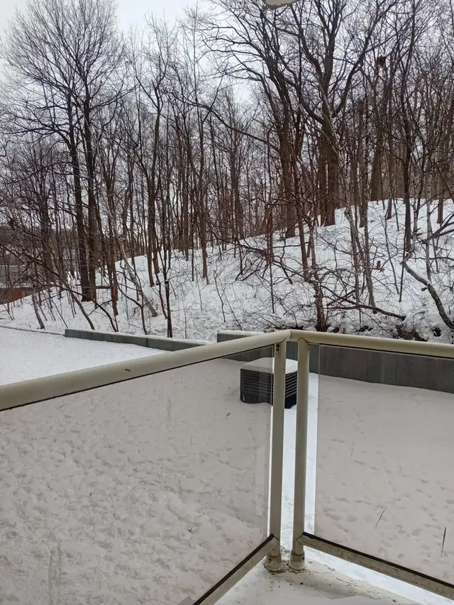 Lease transfer/Transfert bail - Apartment 1 BD - Montreal H3V1C7 - Photo 13