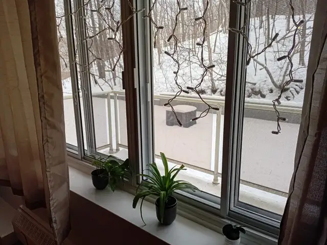 Lease transfer/Transfert bail - Apartment 1 BD - Montreal H3V1C7 - Photo 14