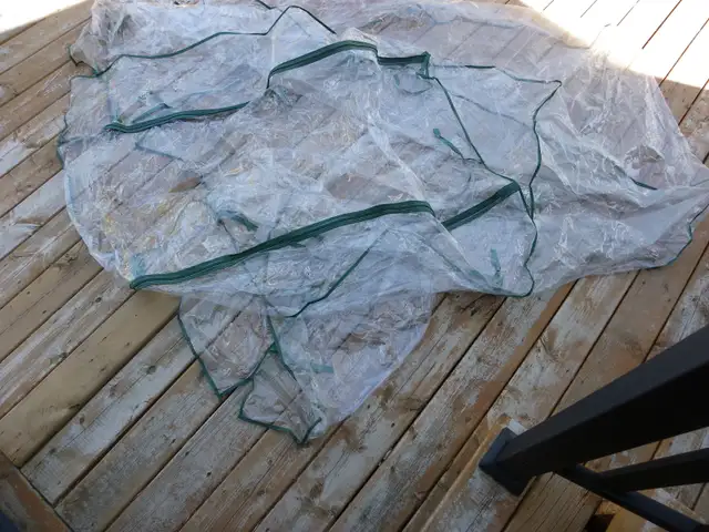 Greenhouses - Photo 2