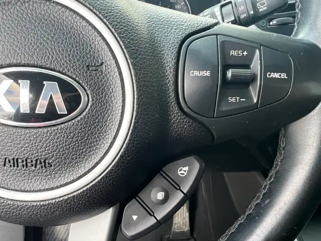 2016 Kia Rondo - Photo 20