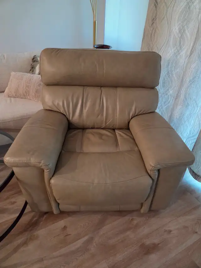 Electric Leather Recliners - Photo 3