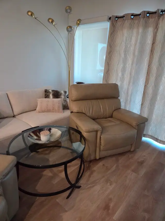 Electric Leather Recliners - Photo 8