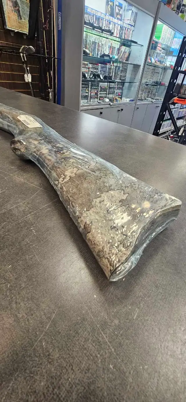 Ruger 10/22 Cameo Stalk NEW - Photo 5