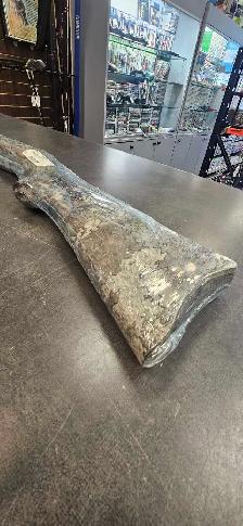 Ruger 10/22 Cameo Stalk NEW - Photo 5