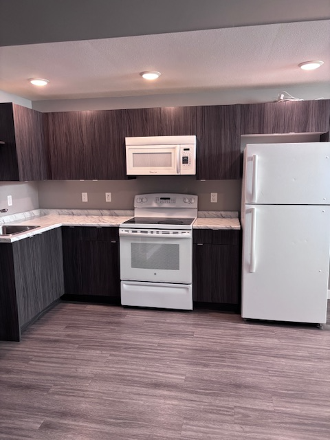 Large ceilings, bright basement site-Exhibition area - Photo 3