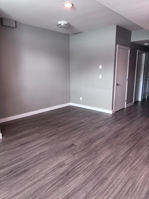 Large ceilings, bright basement site-Exhibition area - Photo 5