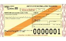 TRANSFERT / TRANSIT / IMMATRICULATION / PLAQUE (514-924-7911)