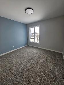 house and rooms for rent