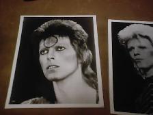 David Bowie Pictures Photos