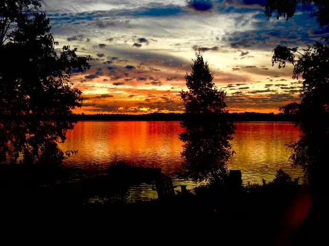 Private Off-Grid Island in the 1000 Islands for sale - Photo 7