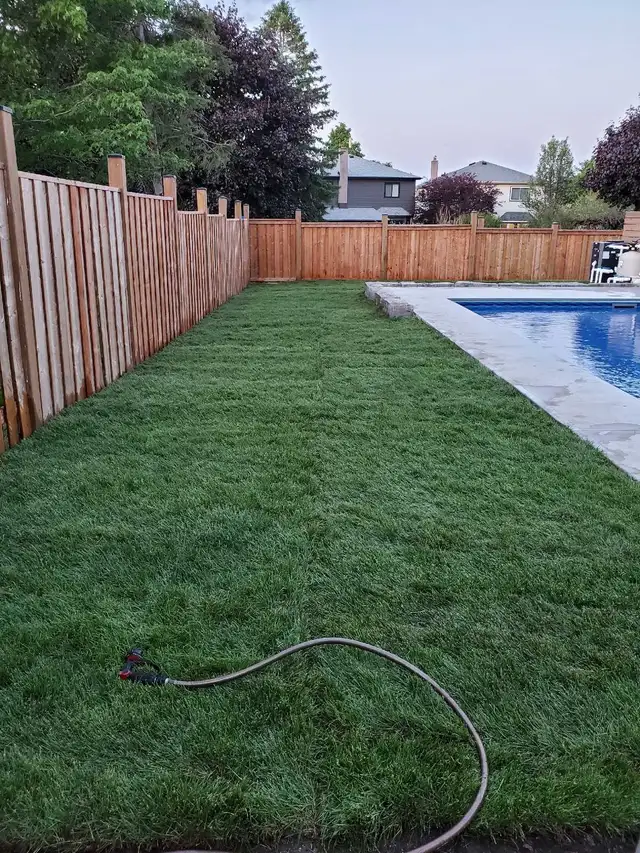 Professional Landscaping