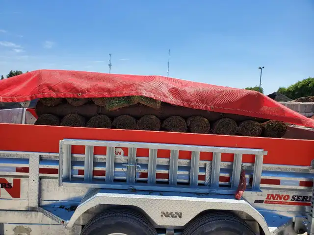 Professional Landscaping - Photo 4