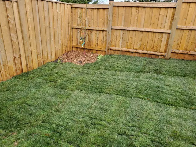 Professional Landscaping - Photo 6