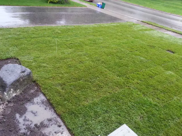 Professional Landscaping - Photo 8