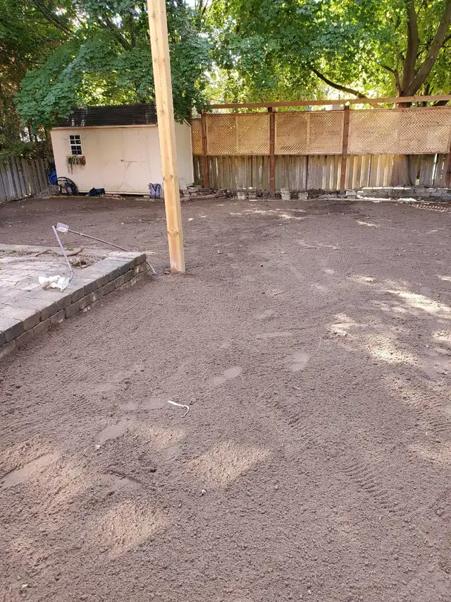 Professional Landscaping - Photo 9