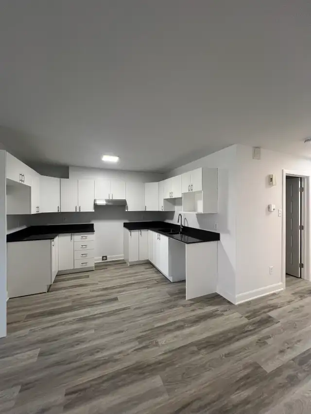 Joli condo 2 chambres RÉNOVÉ - Beautiful 2 bedroom condo