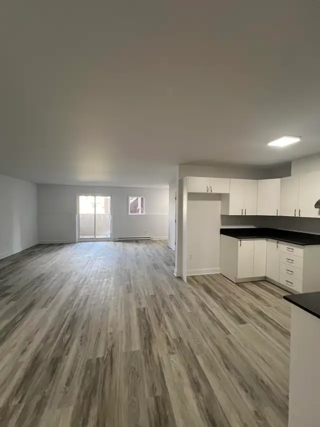 Joli condo 2 chambres RÉNOVÉ - Beautiful 2 bedroom condo - Photo 2