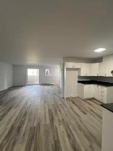 Joli condo 2 chambres RÉNOVÉ - Beautiful 2 bedroom condo - Photo 2