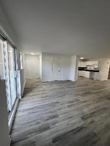 Joli condo 2 chambres RÉNOVÉ - Beautiful 2 bedroom condo - Photo 4