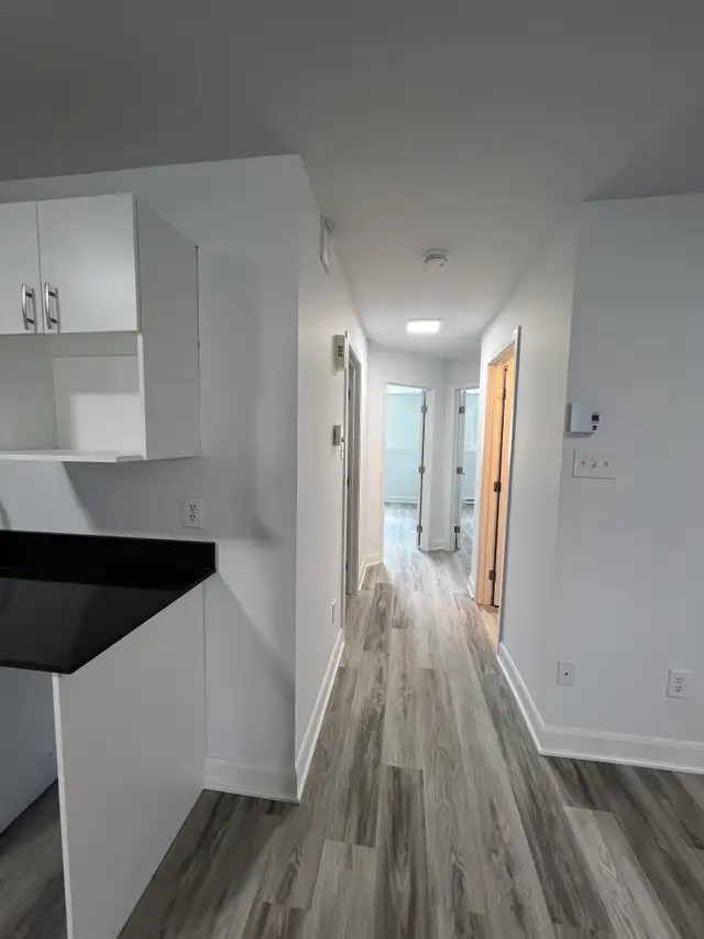 Joli condo 2 chambres RÉNOVÉ - Beautiful 2 bedroom condo - Photo 13