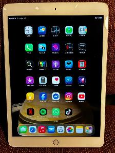 Apple iPad 8th Gen PRISTINE AND CHEAP!
