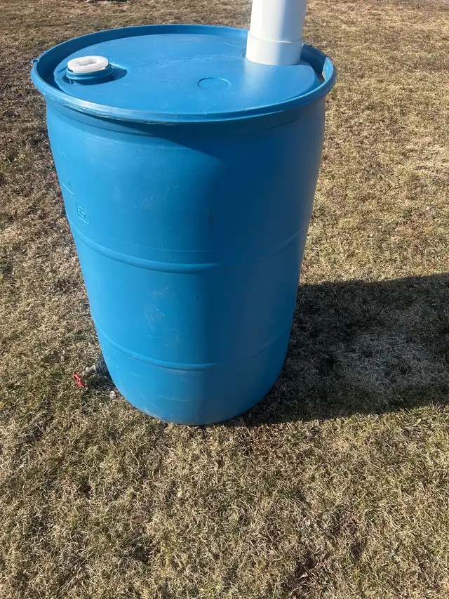Rain Barrel