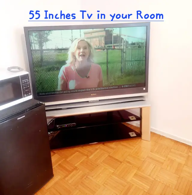 Serene Room in Skyline Downtown Torknto Avail June 1, 2026