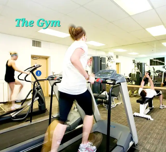 Serene Room in Skyline Downtown Torknto Avail June 1, 2026 - Photo 6