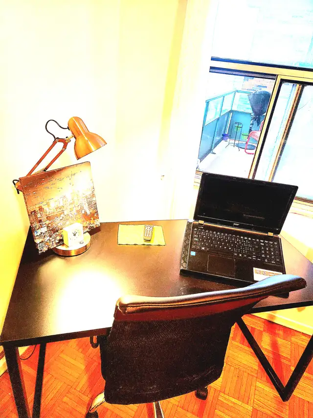 Serene Room in Skyline Downtown Torknto Avail June 1, 2026 - Photo 9