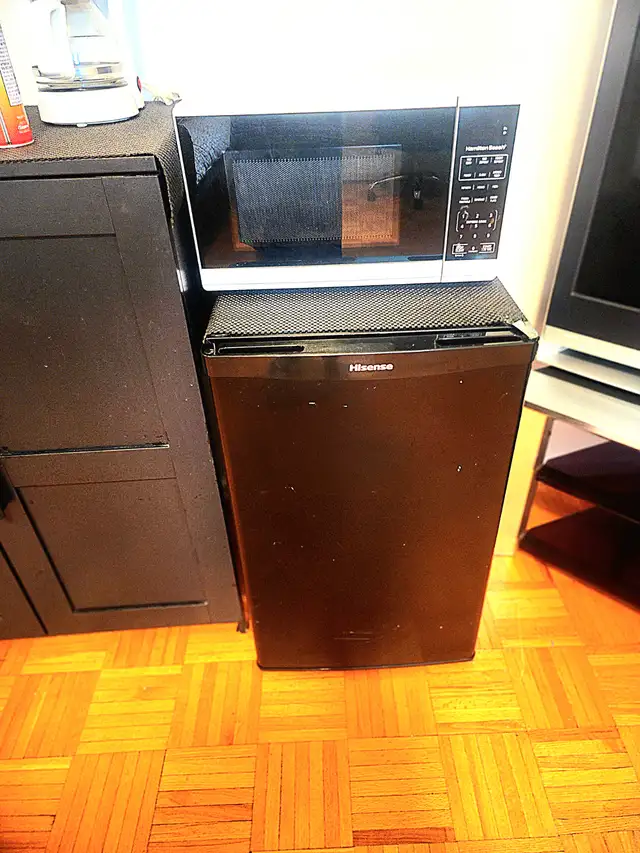 Serene Room in Skyline Downtown Torknto Avail June 1, 2026 - Photo 10