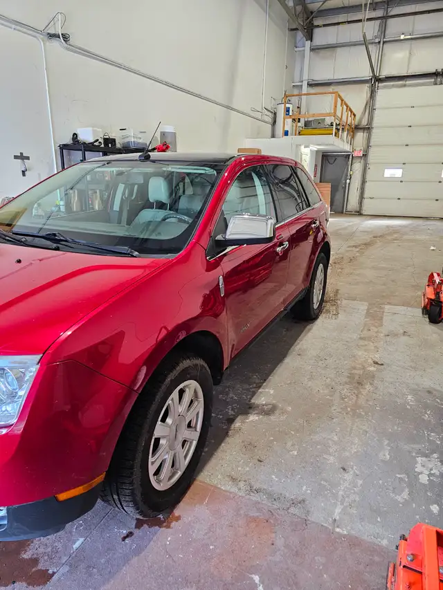 2010 Lincoln MKX - Photo 3