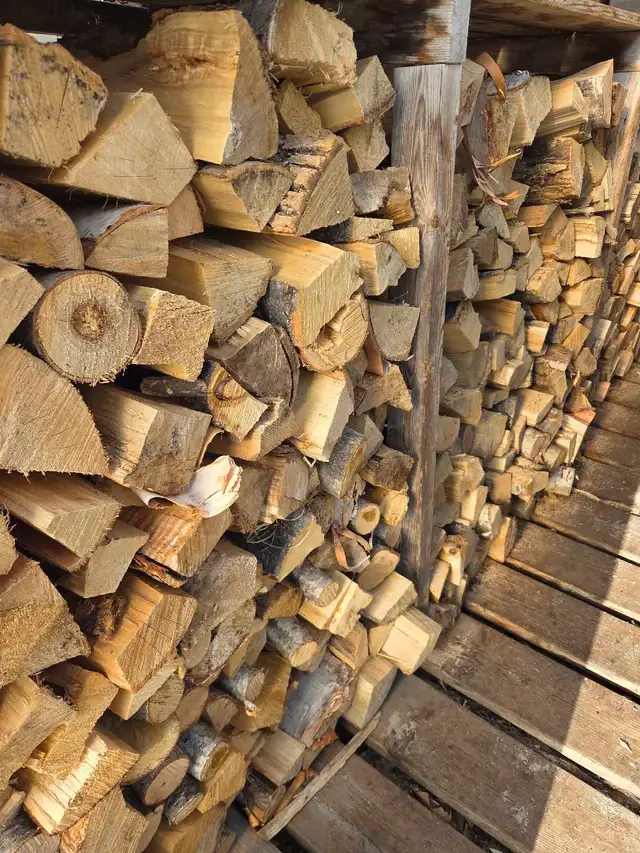 bois camping ,feu de camp,bois chauffage - Photo 2