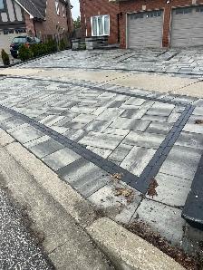 Patio & concrete & landscape