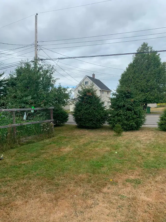 Room for Rent $850 - Photo 6