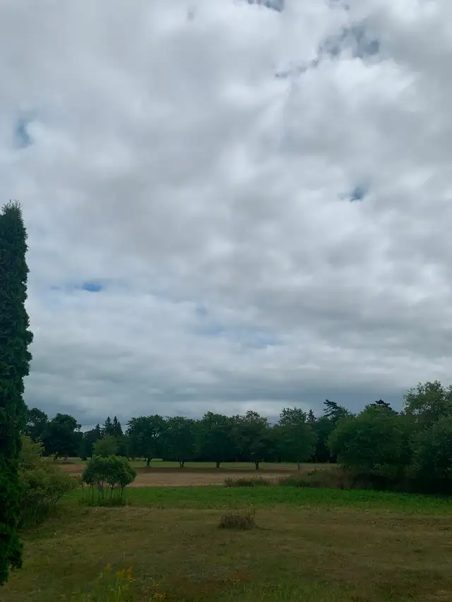 Room for Rent $850 - Photo 7