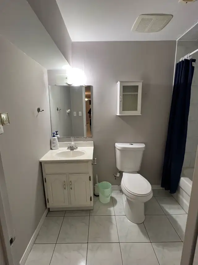 2 BED 1 BATH   DEN BASEMENT APARTMENT FOR RENT - Photo 7