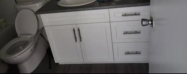 Near University of Manitoba. $1399 per month. One bedroom. - Photo 4