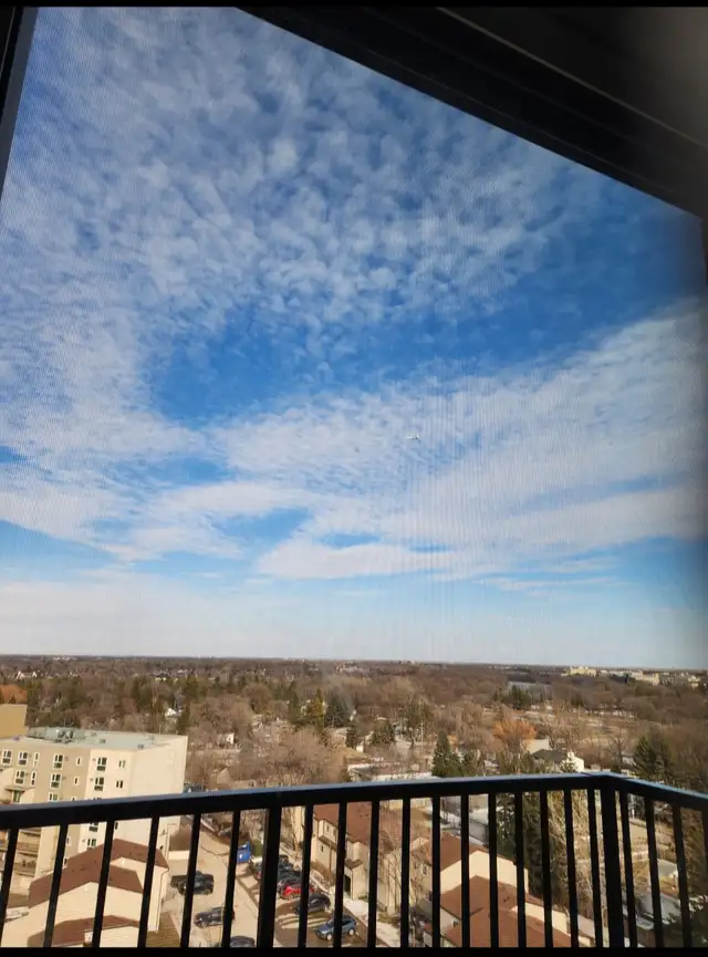 Near University of Manitoba. $1399 per month. One bedroom. - Photo 8