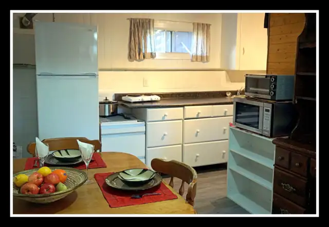 SHARED ACCOMMODATION~ PRIVATE BASEMENT SUITE NEAR CHINOOK - Photo 4